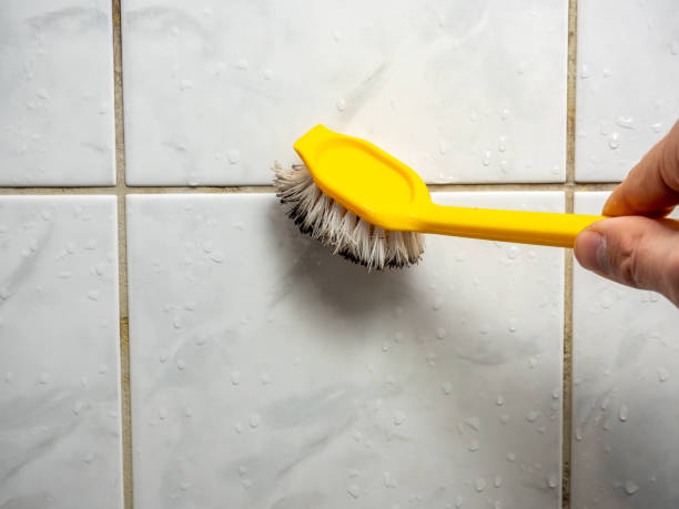Best Professional Mold Removal  in Stuart, IA