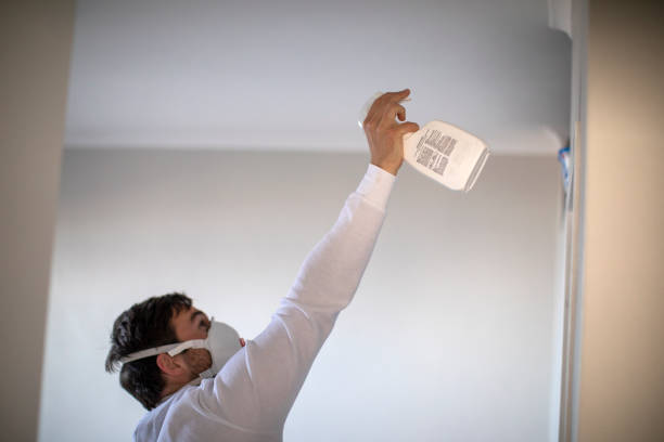 Best Crawl Space Mold Removal  in Stuart, IA
