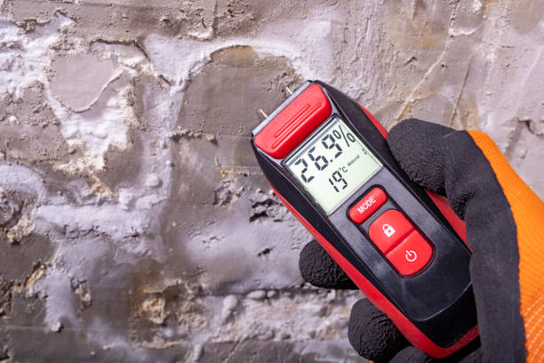Best Local Mold Removal Service  in Stuart, IA