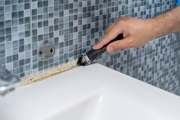 Reliable Stuart, IA Mold Removal Solutions
