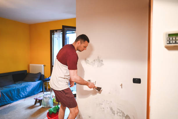 Best Attic Mold Removal  in Stuart, IA